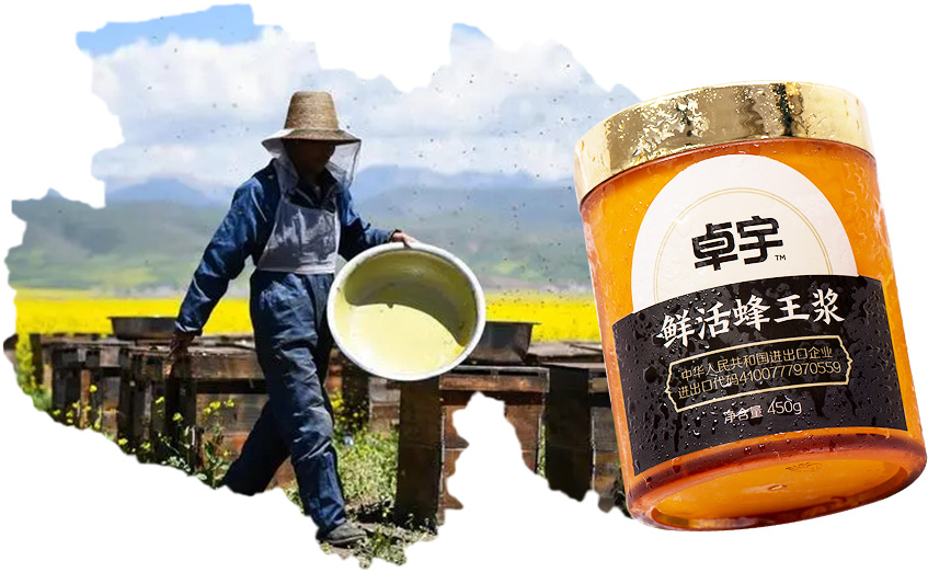 喬家大院之旅
